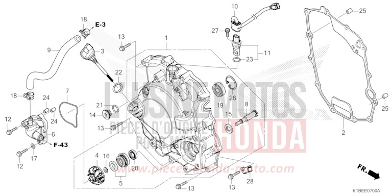 KURBELGEHAEUSEABDECKUNG/WASSERPUMPE von Forza 350 MAT PEARL COOL WHITE (NHB44) von 2025